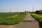 Typical dutch paved rural cycling track with green grass and yellow dandelions and rapeseed blossoms on both sides