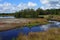 Typical Dutch wetland