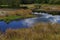 Typical Dutch wetland