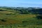 Typical English summer landscape, patchwork green fields