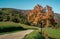 Typical Fall landscape in the Northern Apennines with oak