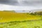 A typical farm with sheep breeding in the island of Skye