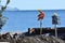 Typical food of the Andalusian coast: Sardines and prawns roasting by a coal fire