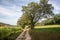 Typical French dirt road, a path in the countryside of France, with crops and fields ready to be harvested in an agricultural area