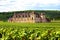 Typical French vineyard and chateau, France