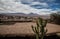 Typical garden in the home of the Atacama Desert.  Cactus plants