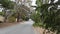 Typical generic suburban street, residential district, California neighborhood.