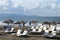 Typical Greek beach scene at the small resort of Agia Marina, Crete, Greece