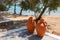 Typical Greek clay vases on the beach.