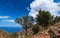 Typical Greek or Cretan landscape, hills, mountain, spring, bushes. Olive tree, paved rocky path. Clear blue sky, clouds