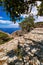 Typical Greek landscape. Paved path, hills, bushes. Big olive, mastic or laurel tree. Blue sky, beautiful clouds. Sea