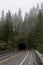 A typical highway tunnel in the forest of Mount Rainier National Park