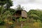 Typical house in the nicaraguan jungle, Nicaragua