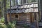 Typical hunter`s hut in the cedar Siberian taiga on  summer day