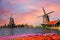 Typical iconic landscape in the Netherlands, Europe. Traditional old dutch windmills with house near river with tulips flowers