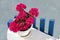 Typical image of the Cyclades islands, red geraniums on a white and blue background