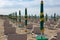 Typical italian beach in the Riviera Romagnola area, Rimini or Riccione: green and yellow umbrellas, still closed; season opening