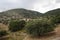 Typical landscape on the island of Crete