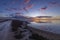 Typical landscape during sunrise in Parc Naturel regional de Camargue, Provence, France