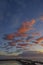 Typical landscape during sunrise in Parc Naturel regional de Camargue, Provence, France