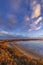 Typical landscape during sunrise in Parc Naturel regional de Camargue, Provence, France