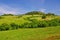 Typical Landscape in Tuscany