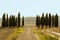 Typical landscapes for Siena Province in Tuscany, Italy. Cypress hills, plowed fields, roads and houses. Begining of autumn season