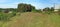 A typical Lithuanian July grassy flowering meadow