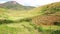 Typical Madagascar landscape in region of Sendrisoa near Andringitra national park. Rice fields on small hills, higher mountains