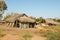 Typical malagasy village - african hut