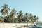 Typical maldivian boats called `Dhoni` in the harbor with palms background