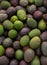 A typical market stall selling avocado fruit to tourists in Marrakech