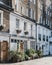 Typical mews house in London, UK, many plant pots by the entrance