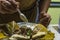 Typical Mexican street food vendor, prepares a dish originally from Michoacan, Mexico called Corundas