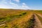 Typical Moldovan landscape of a green agrarian country Republic of Moldova. Background with copy space