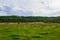 Typical Moldovan landscape of a green agrarian country Republic of Moldova. Background with copy space