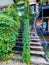 Typical Montreal neighborhood street with staircases