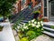 Typical Montreal neighborhood street with staircases