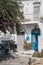 Typical Mykonian white house with blue front door pink blossoming tree in front, Mykonos, Greece