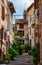 Typical narrow street accompanied with many plants. Historic city of Vence, France