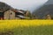 Typical Nepali village with mustard fields from Gorkha Nepal
