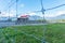 Typical New zealand farm scene and distant building, shed with red roof