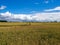 Typical North German farmland with blue sky and white clouds