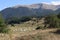 Typical panorama of the Abruzzo mountains with cows