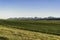 Typical panorama of Montana landscape at sunset. Scenic view with fence and mountains in background