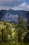 Typical panoramic view in the Austrian Alps with mountains and fir trees - Mount Loser Altaussee