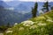 Typical panoramic view in the Austrian Alps with mountains and fir trees - Mount Loser Altaussee