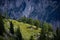 Typical panoramic view in the Austrian Alps with mountains and fir trees - Mount Loser Altaussee