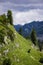 Typical panoramic view in the Austrian Alps with mountains and fir trees - Mount Loser Altaussee