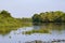 Typical Pantanal lagoon scenery in afternoon light, reflections on water, Pantanal Wetlands, Mato Grosso, Brazil